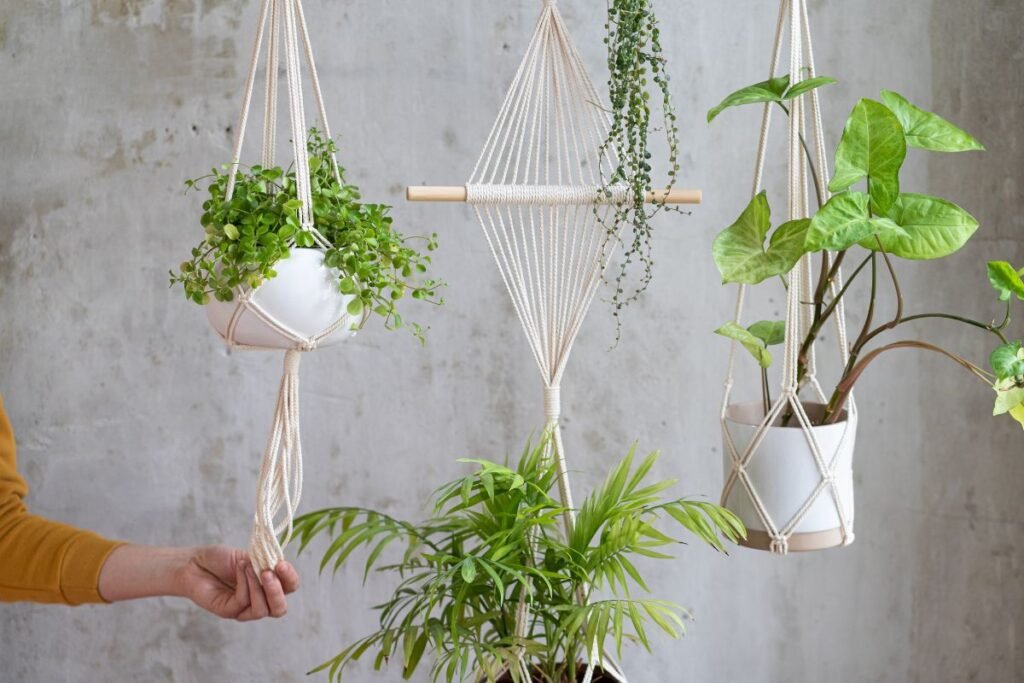 Hanging plants