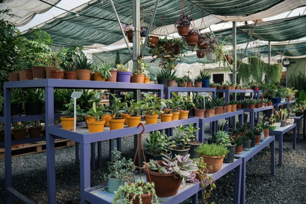 how to measure plant pots