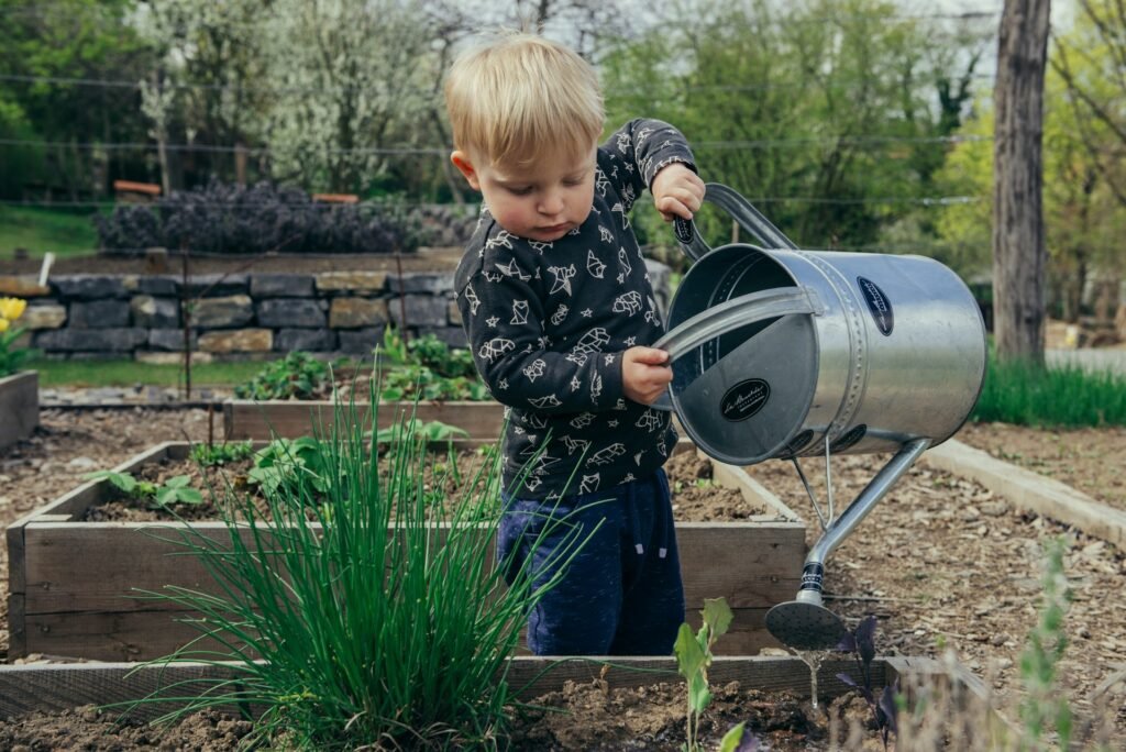 how to remove salt from softened water for plants