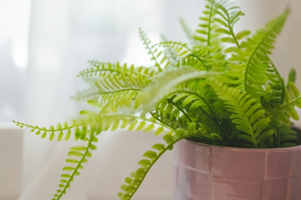 how to stop ants nesting in plant pots