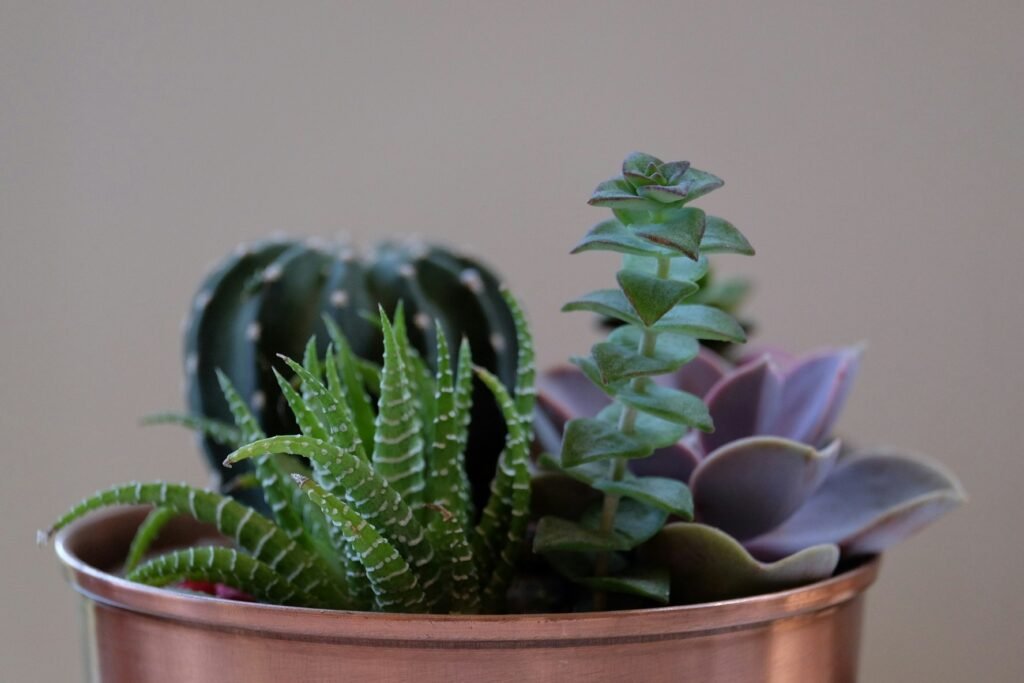 how to stop ants nesting in plant pots
