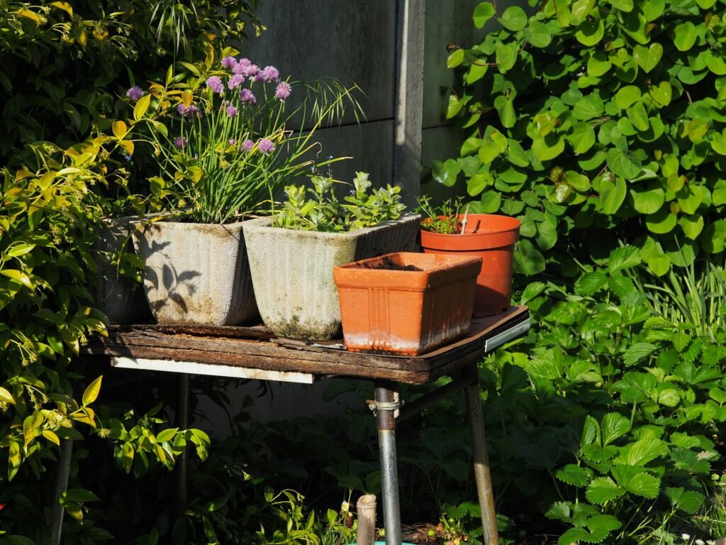 how to measure plant pots
