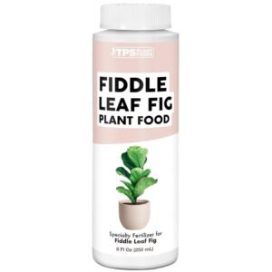 Fiddle Leaf Fig Plant Food