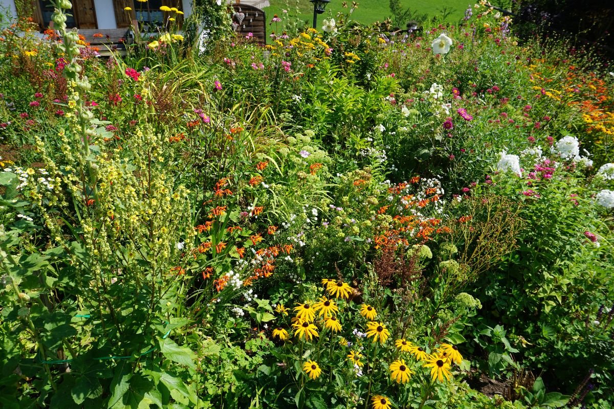Benefits of Native Plants