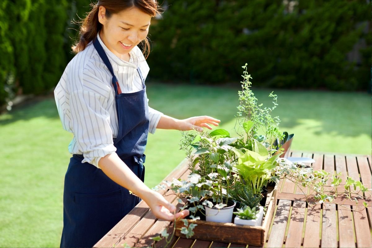 Essential Container Gardening Tips for Success