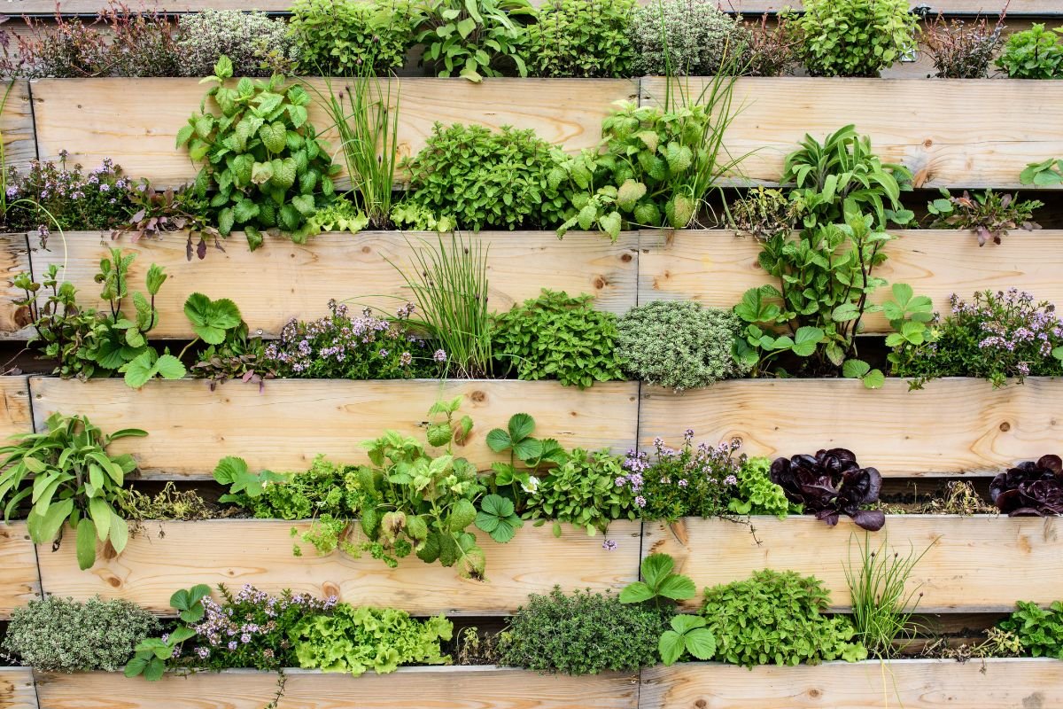 Gardening Ideas. Vertical Gardening