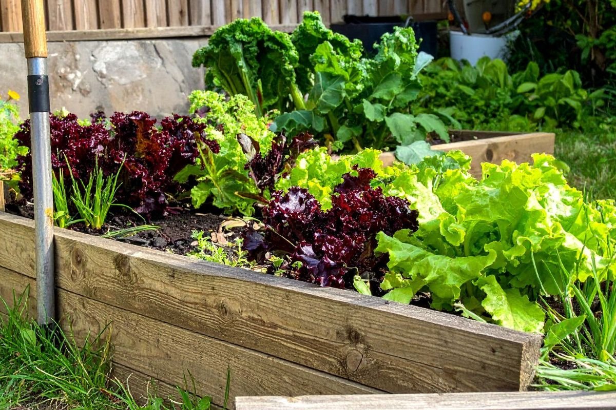 Gardening Ideas