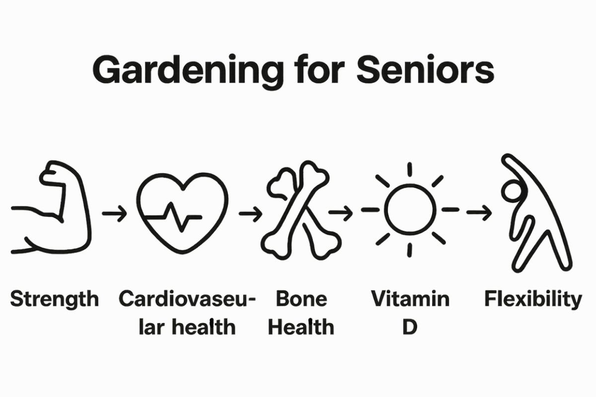 Gardening for Seniors