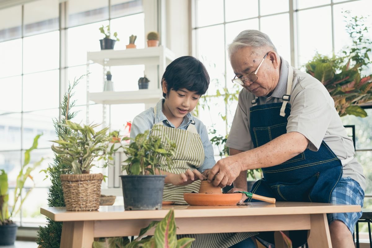 Indoor Plant Care