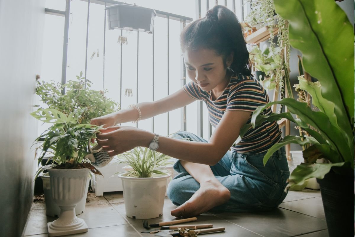 Small Spaces Plants
