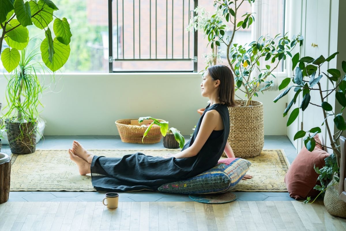 The Essential Guide to Benefits of Indoor Plants