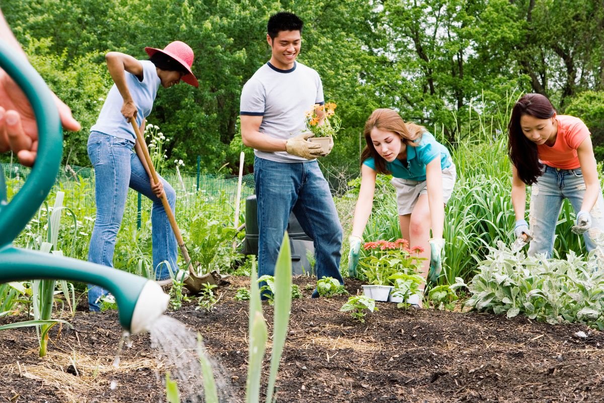 Community gardening