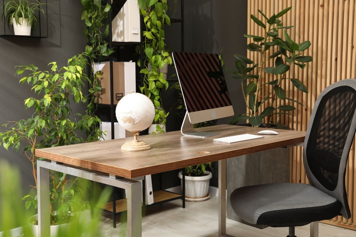 Essential Tips for Decorating with Houseplants