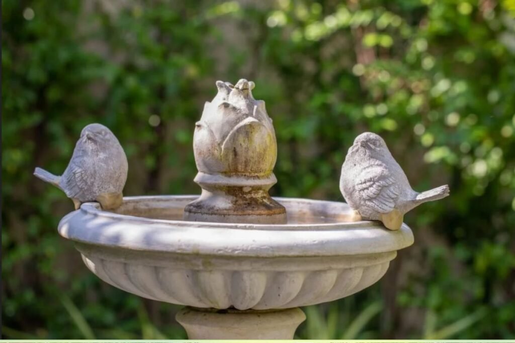 The Painterly Charm of the French Garden: Plants, Colors, and Freedom of Form. How Can One Create Such a Garden?