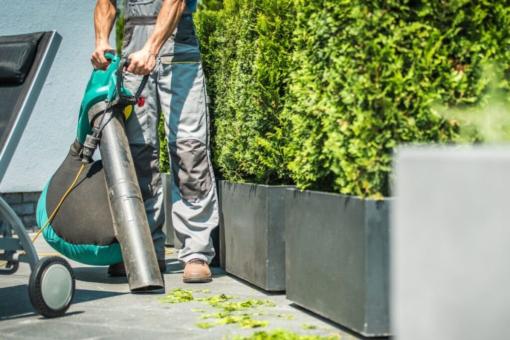 Leaf Blower—How to Choose One, and Where Else Can You Use It?
