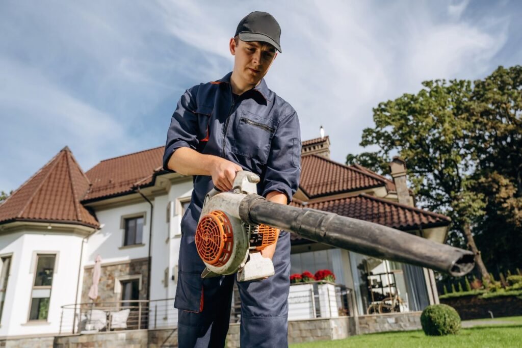 Leaf Blower—How to Choose One, and Where Else Can You Use It?