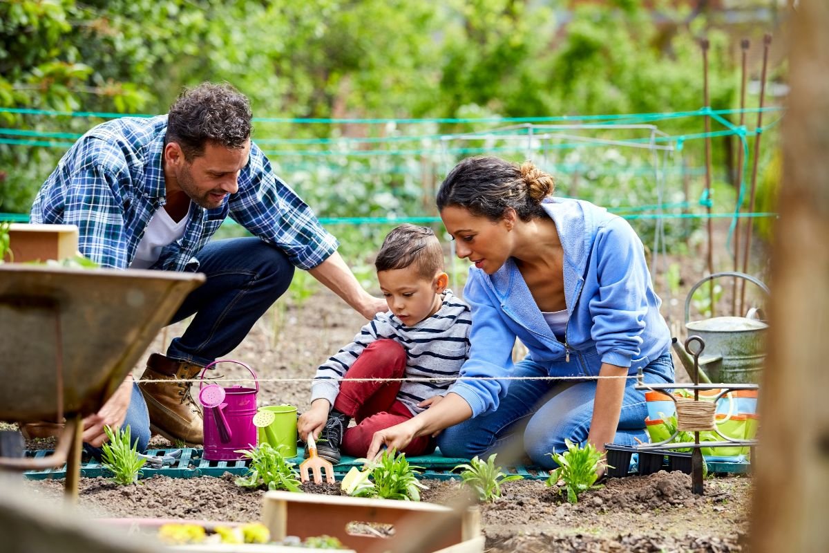 Permaculture Gardening