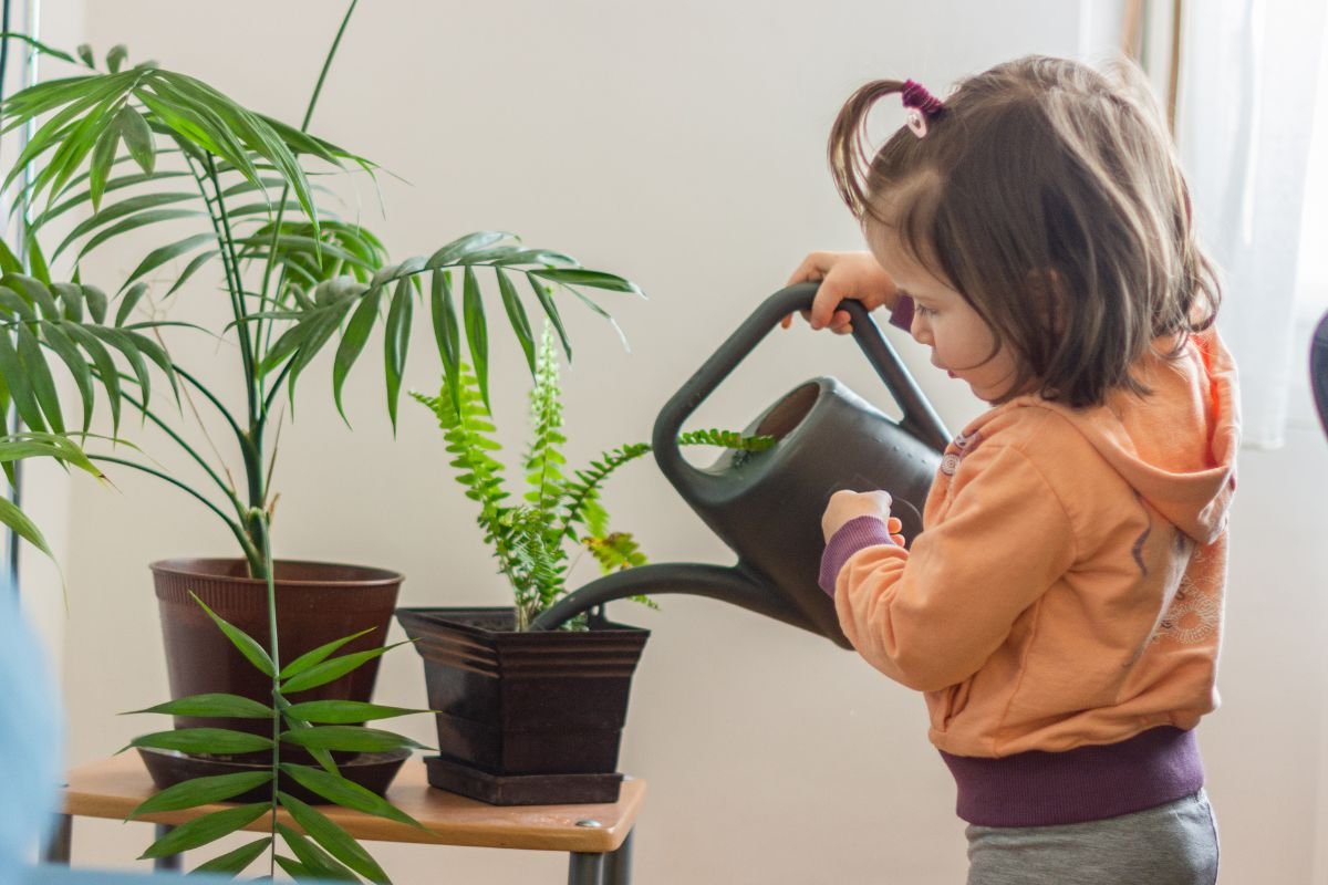 Watering Indoor Plants