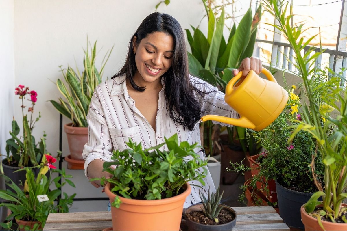Watering Indoor Plants