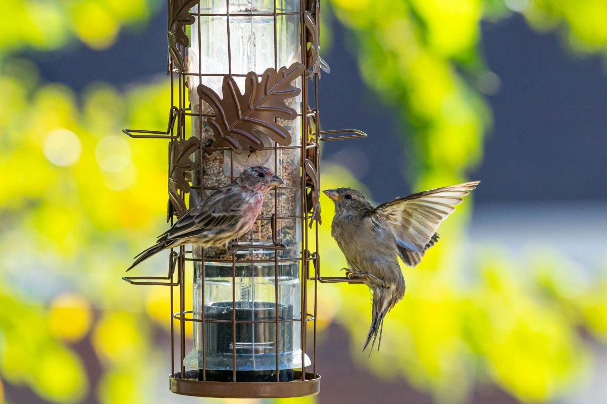 Garden Wildlife Habitats