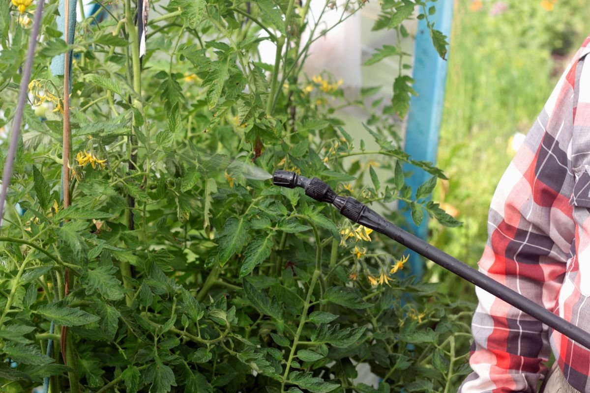 Organic Pest Management: Complete Guide for Gardeners