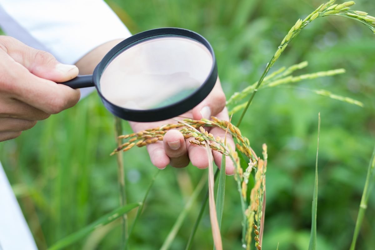 Organic Pest Management: Complete Guide for Gardeners