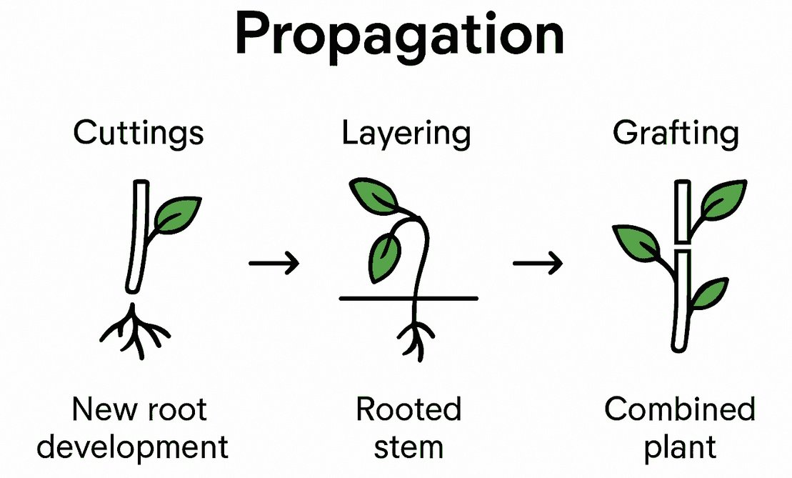 Propagation Essentials